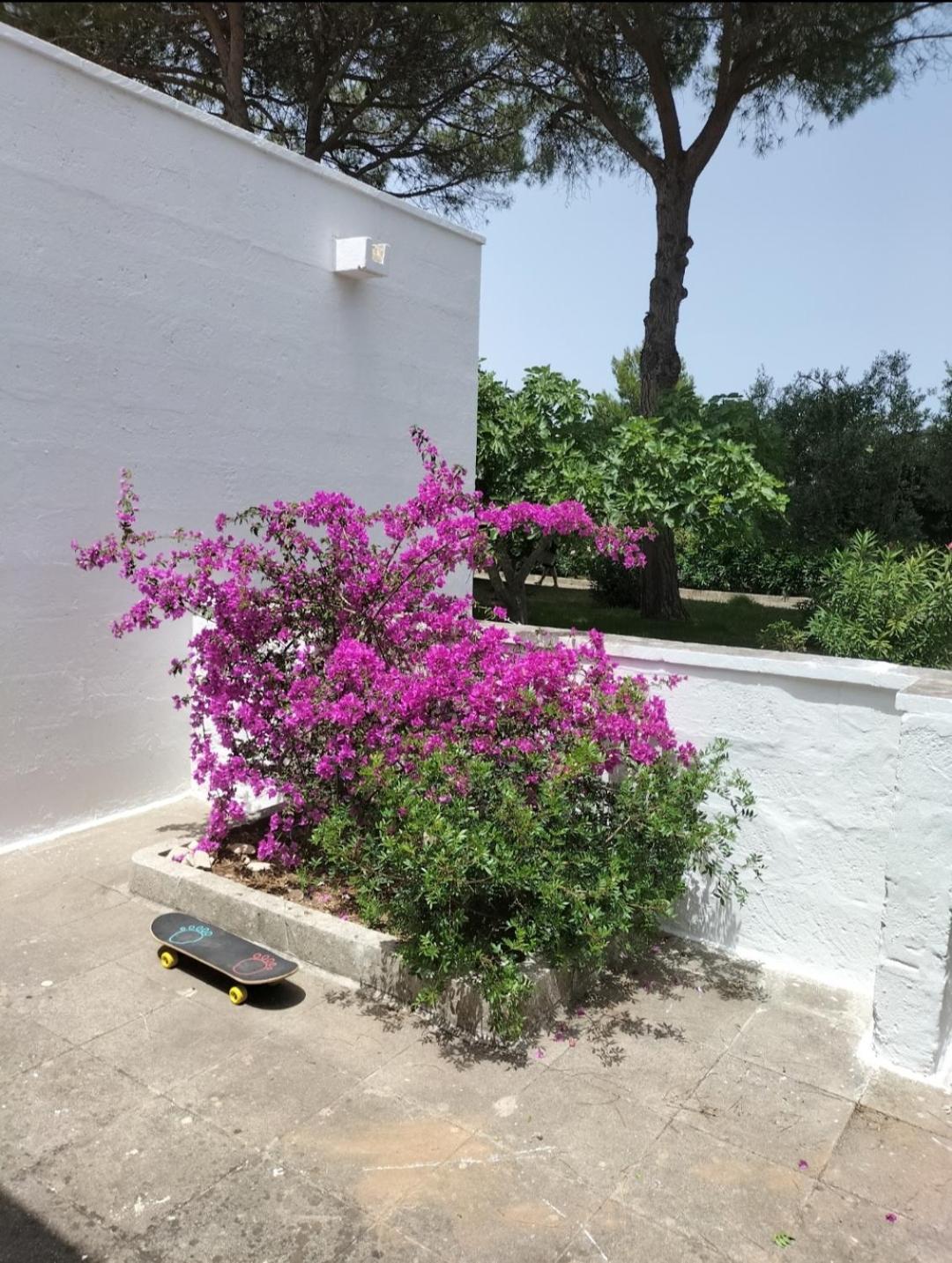 Casa Azzurra Vila Conca Specchiulla Exterior foto